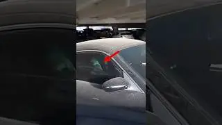 They thought both cars were empty&hellip; they were wrong 😨 #abandoned #creepyfinds #mystery #viral