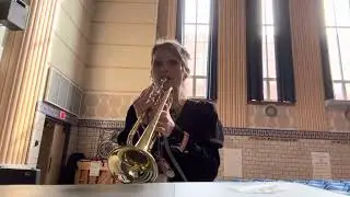 12 Bar B flat Blues Trumpet #blues #improvisation #12barblues #trumpet #musiclessons #jazz