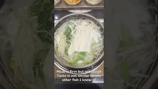 Deadly but delicious: Puffer fish