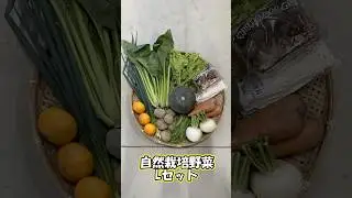自然栽培の野菜セットです🙌🏻 #そらの野菜 #自然栽培 #無農薬野菜 #無農薬 #無農薬無肥料#マクロビオティック #マクロビ #野菜宅配 #そらの野菜 #たはら暮らし #shorts