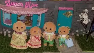 DIY miniature sweet shop #calicocritters #honeybeeacres #lilwoodzies collab  @LittleCraftyKitty