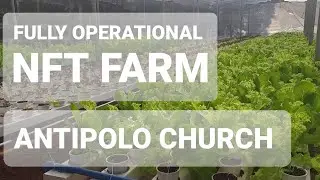 MODERN HYDROPONICS UPDATE | NFT Hydroponics System At ANTIPOLO  CATHEDRAL