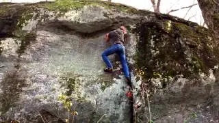 Hitchiti Experimental Forest Bouldering 