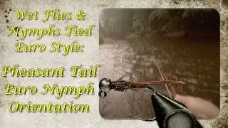 Pheasant Tail Euro Nymph Orientation:  Let's take a look at how our flies swim verses the naturals