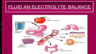 FLUID & ELECTROLYTES | BALANCE | IMBALANCE