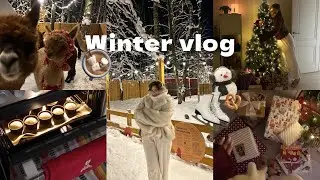 Winter vlog | Уютный зимний влог, новогодняя неделя