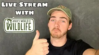Live Stream #4 With Jack!