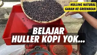 LEARN TO HULL COFFEE, AN IMPORTANT PROCESS BEFORE BECOME A GREEN BEAN!!