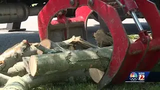 How to prevent storm damage