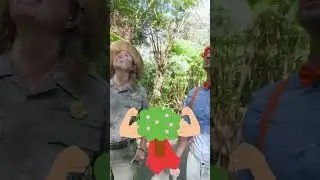 Volcano Exploring!🌋 #volcano #travel #blippi