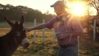 North Star Sheep Farm