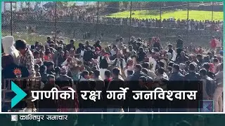 रुकुम  पश्चिममा धार्मिक आस्थाको  पर्व पापिनी मेलाको रमझम | Kantipur Samachar