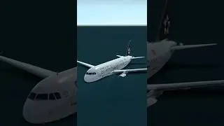Turkish Star Alliance Water Landing #crash #emergency #landing #flightsimulator #aviation #avgeek