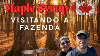 Como é Feito o Xarope de Bordo? Da Colheita à Mesa com Panquecas!