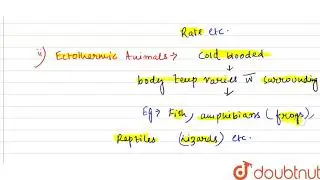 Give an example for:   (a) An endothermic animal   (b) An ectothermic animal    (c) An organism