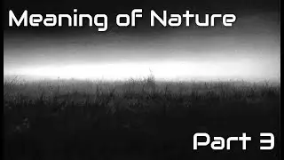 Understanding the purpose of Nature and philosophy - Part 3