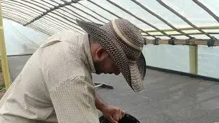 SECADOR SOLAR PARA CAFÉ (MARQUESINA) - FINCA LA QUINTA