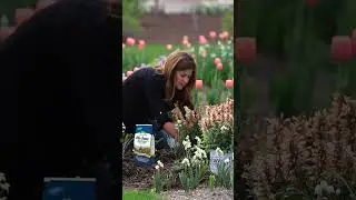 Planting a Beautiful Perennial Garden 🌷🌹🪻 // Garden Answer