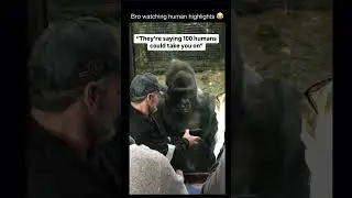 Gorilla watching human highlights #fypシ゚viral #memesdaily #funny 100  men vs gorilla #feedshorts