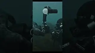 Playful seal :)