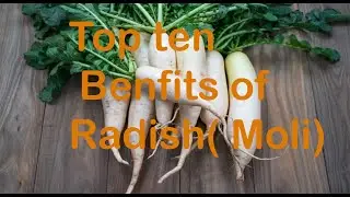 Benefits of Radish(moli k faidy)/ Mooli Ka Tabi Fawaid/ Mooli ke Fayde/ Mooli se Ilaj