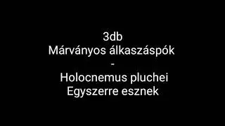 3db m&aacute;rv&aacute;nyos &aacute;lkasz&aacute;sp&oacute;k egyszerre esznek.