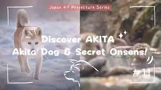 Why AKITA Should Be On Your Japan Bucket List &ndash; Winter Wonderland & Authentic Culture