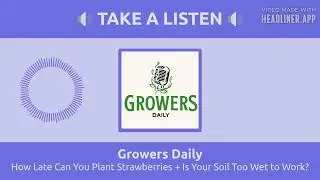 How Late Can You Plant Strawberries + Is Your Soil Too Wet to Work? | Growers Daily