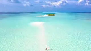 Beach Vibes Playlist. Escape to your Tropical Paradise with this chill music.