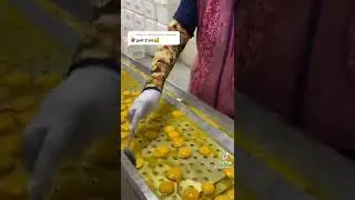 1000 Eggs Omlate 🥚 #Shorts #Tiktok  Credit :- Janineklaira  #foodie