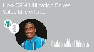How CRM Utilization Drives Sales Efficiencies