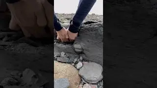 180 MILLION Year Old Fossil FOUND! 😵😵&zwj;💫😱🔨