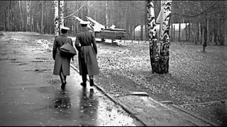 Оживление фотографии №121