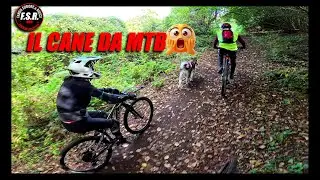 IL CANE DA MTB -THE BIKE DOG