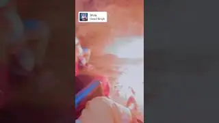 #bonefire #shorts #kahani #shortfeed #newshorts #viral #trending #vacationtime #intet