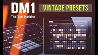DM1 Vintage Kit presets