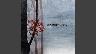 Ultimate Zen