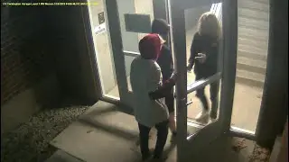 Carmel Christkindlmarkt shop vandals sought
