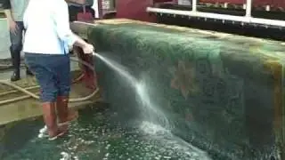 Studying to be a Master Rug Cleaner at Oriental Rug Cleaning