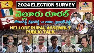 నెల్లూరు ప్రజాస్పందన | Nellore City Public Talk | AP Elections 2024 | YCP | TDP | JSP | BJP | CONG