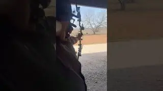 Oneida phoenix vs Hoyt Z1S!