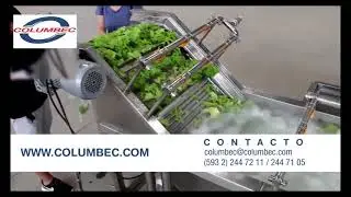LAVADORA DE VEGETALES