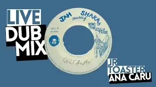 LIVE DUBMIX #4 |Melt Away - Max Romeo | Ana Caru & Jr Toaster
