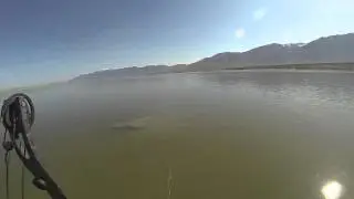 Swamp Nasty Bowfishing