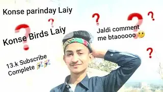 Ab konse parinday hum Le kar Ayee 🤔🤔 Comment me jaldi btaoo ❓❓ |Only pet vlogs|
