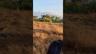 Mountain village #mountains #pahad #nature #attraction #beautiful #shorts #youtube #ytshorts #viral