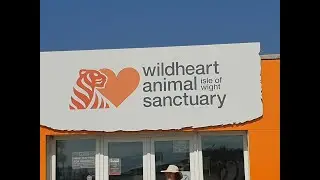 Wildheart animal Sanctuary