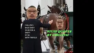 Famous Lies and Stupid Quotes - Chilli Decastro Puts Out Great Content #youtube #funny #humor