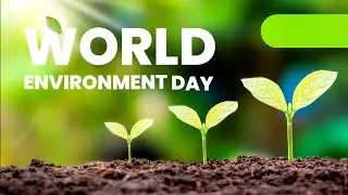 World Environmental Day | All Saints' Church Pettah