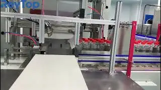 Side Push Shrink Wrapping Machine in Action | High-Speed Multipack Packaging